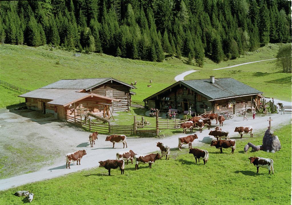 Palfnerhof Appartements Sankt Johann im Pongau Exteriér fotografie
