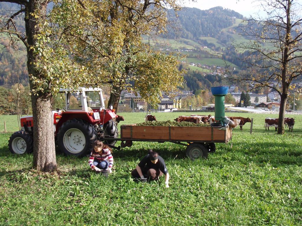 Palfnerhof Appartements Sankt Johann im Pongau Exteriér fotografie