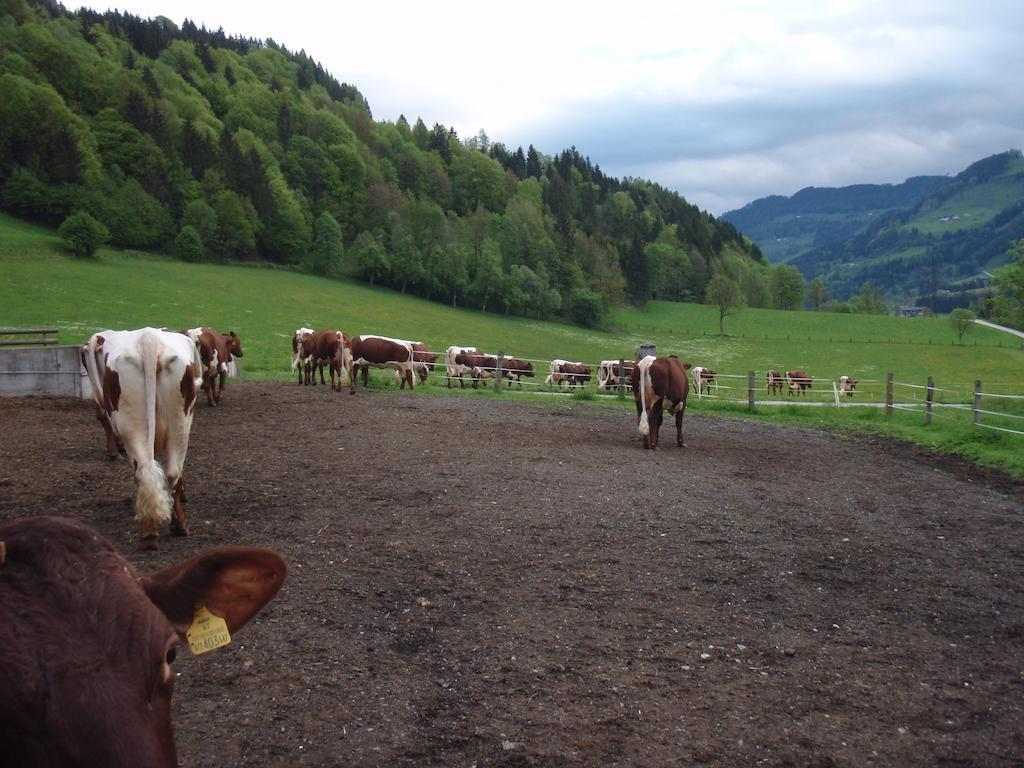 Palfnerhof Appartements Sankt Johann im Pongau Exteriér fotografie